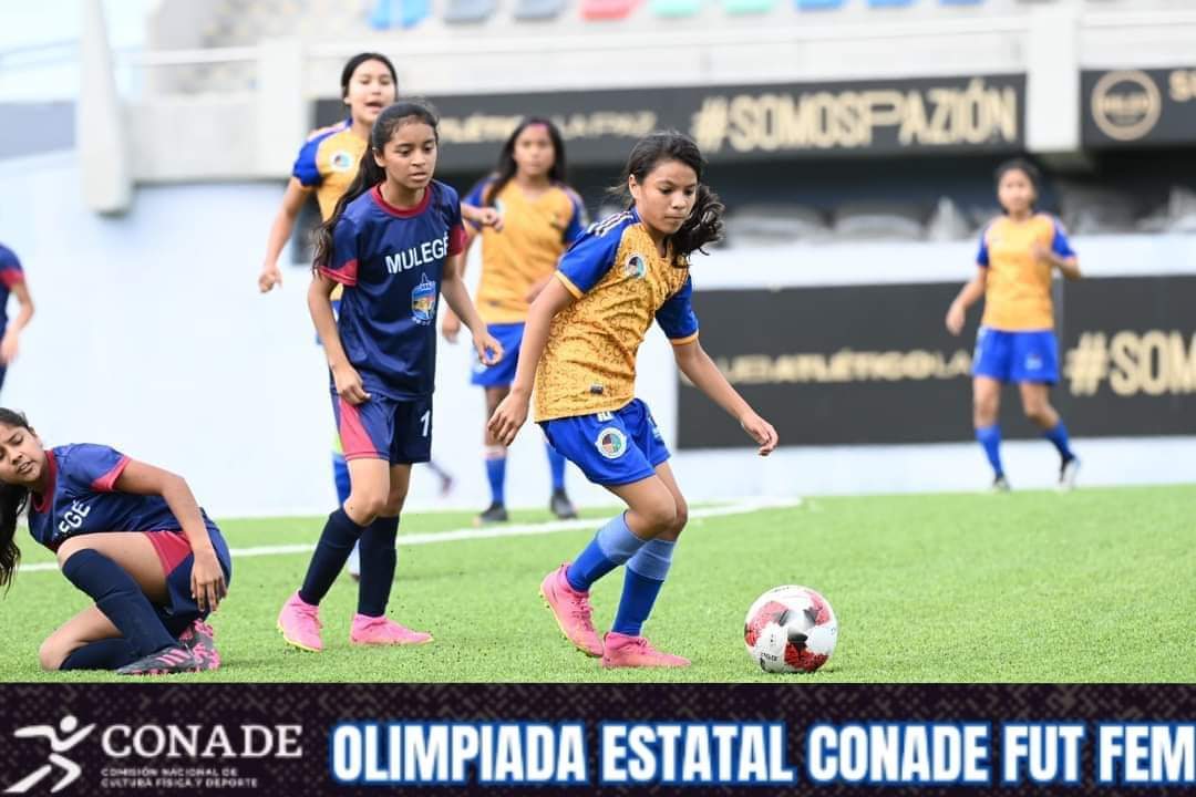 Concentración total